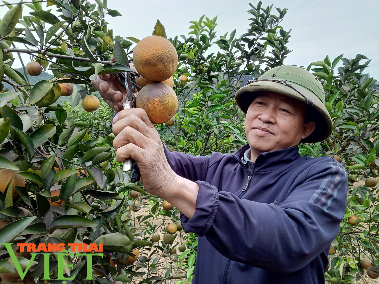 Ôm đống nghề, anh Thảo bỏ túi 400 triệu đồng - Ảnh 1. Ôm đống nghề, anh Thảo bỏ túi 400 triệu đồng - Ảnh 1.