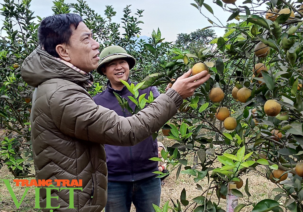 Ôm đống nghề, anh Thảo bỏ túi 400 triệu đồng - Ảnh 4. Ôm đống nghề, anh Thảo bỏ túi 400 triệu đồng - Ảnh 4.