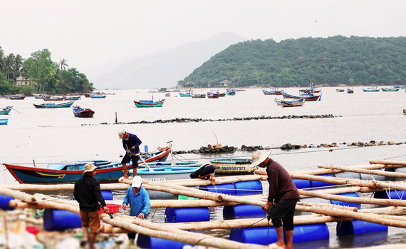 Thủ phủ tôm hùm gượng dậy vào vụ mới - Ảnh 1. Thủ phủ tôm hùm gượng dậy vào vụ mới - Ảnh 1.