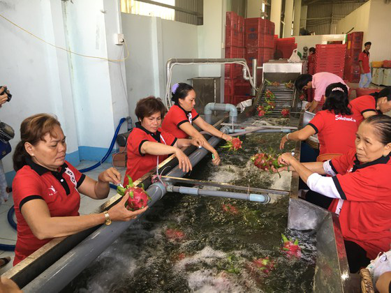 Nông sản Việt Nam xuất khẩu tăng mạnh nhờ tiếp cận thị trường 2,2 tỷ người - Ảnh 1. Nông sản Việt Nam xuất khẩu tăng mạnh nhờ tiếp cận thị trường 2,2 tỷ người - Ảnh 1.