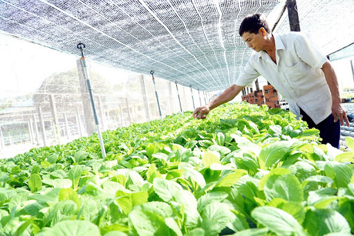 Thái Nguyên có khu nông nghiệp ứng dụng công nghệ cao rộng hơn 154ha - Ảnh 1. Thái Nguyên có khu nông nghiệp ứng dụng công nghệ cao rộng hơn 154ha - Ảnh 1.