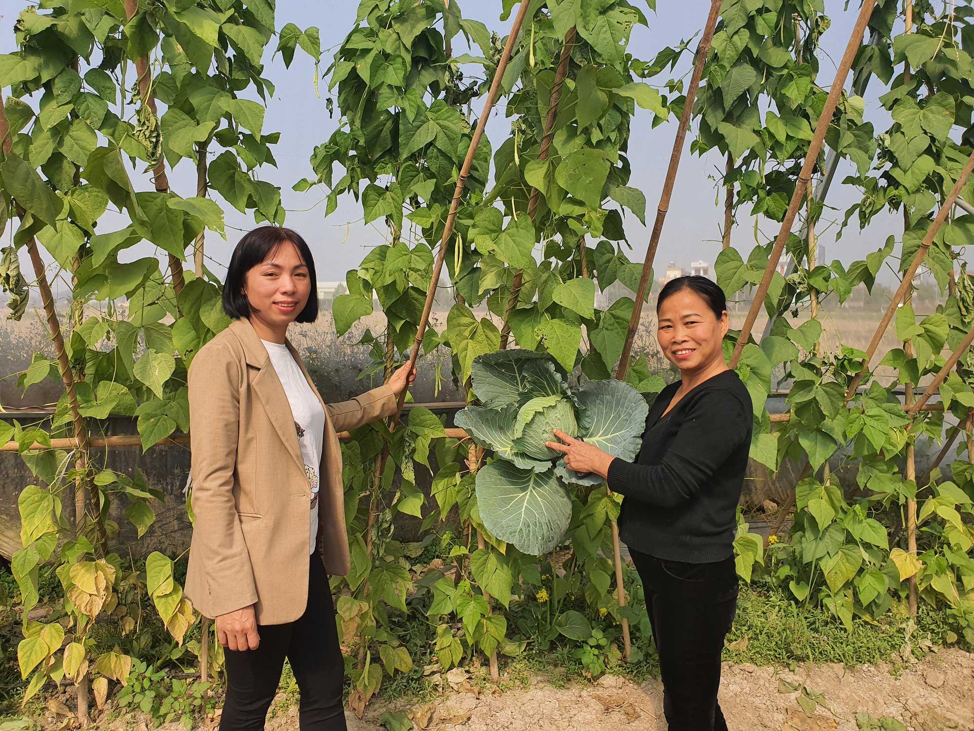 Người phụ nữ làm giàu từ nông nghiệp công nghệ cao - Ảnh 3. Người phụ nữ làm giàu từ nông nghiệp công nghệ cao - Ảnh 3.