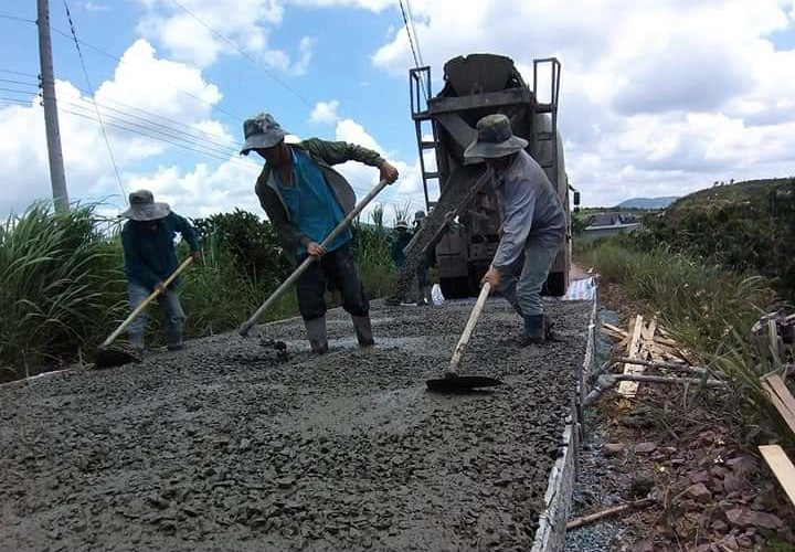 Lâm Đồng: Hơn 55 nghìn hộ dân đạt danh hiệu sản xuất kinh doanh giỏi  - Ảnh 3.