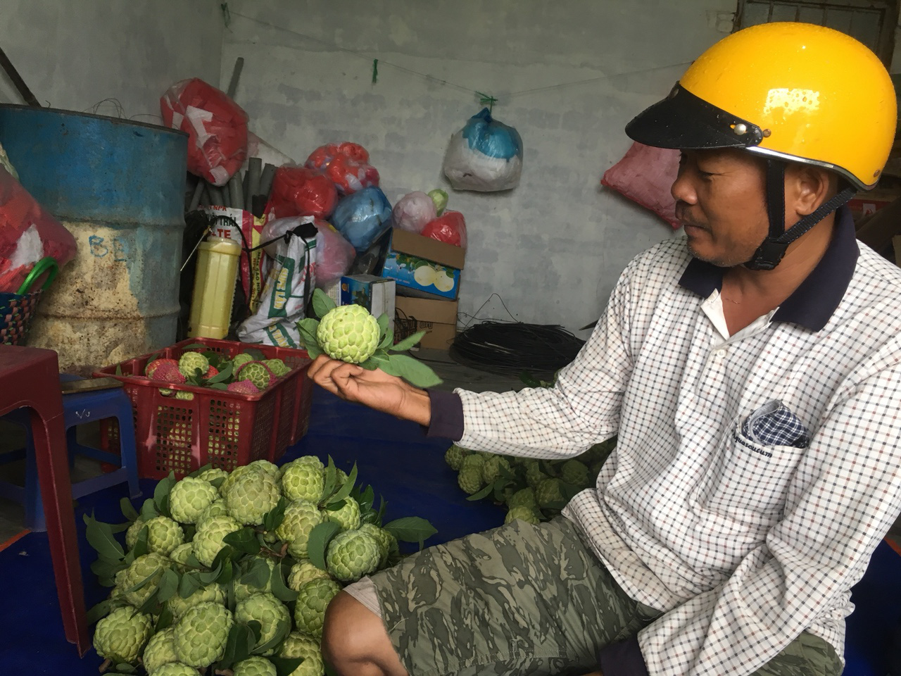 Nông dân Khánh Hòa mạnh dạn đầu tư vốn để chuyển đổi cây trồng - Ảnh 1.