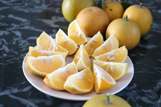 Trồng cây gì bán Tết 2021: Cam Xã Đoài là giống cam gì mà bán giá cao ngất ngưởng 130.000/quả? - Ảnh 6.