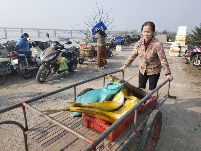 Trúng đậm mẻ cá chim vàng, một đêm ngư dân thu về hơn nửa tỷ đồng - Ảnh 2.