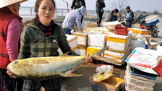 Trúng đậm mẻ cá chim vàng, một đêm ngư dân thu về hơn nửa tỷ đồng - Ảnh 5.