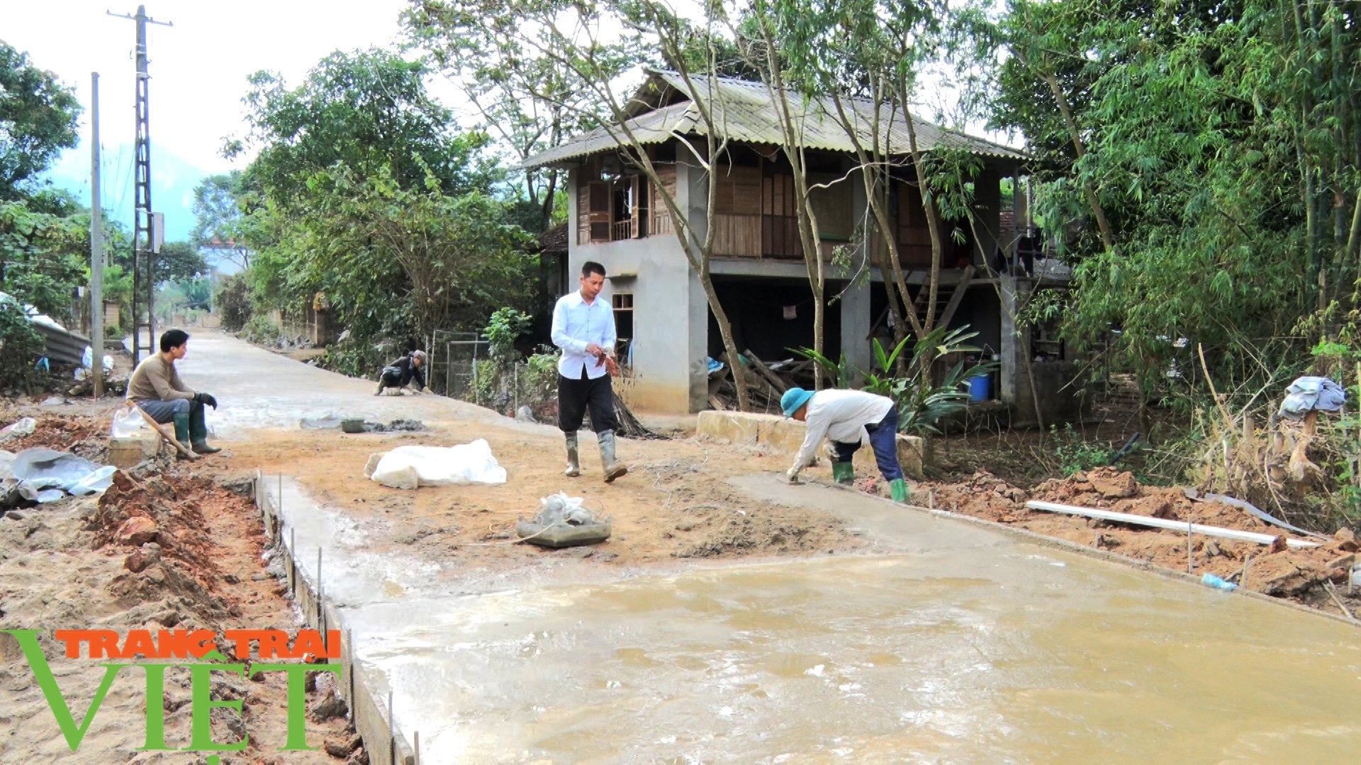 Huy Tân với phong trào hiến đất làm đường giao thông nông thôn - Ảnh 1.