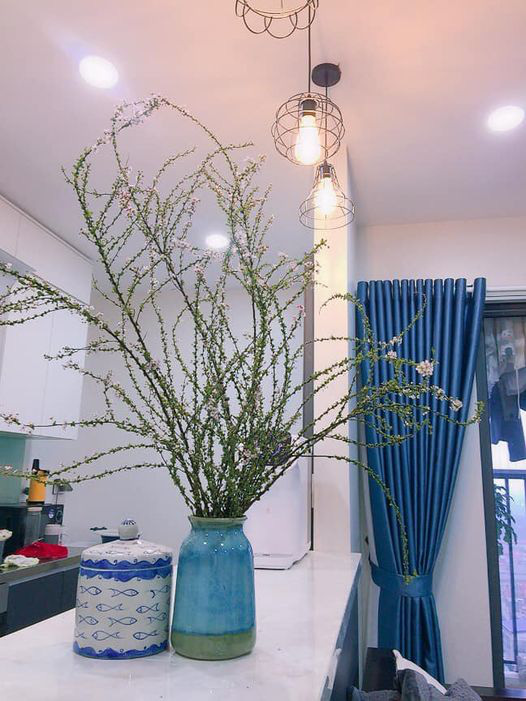 Bỏ túi ngay cách cắm hoa tuyết mai trang trí nhà cửa dịp Tết - Ảnh 4.