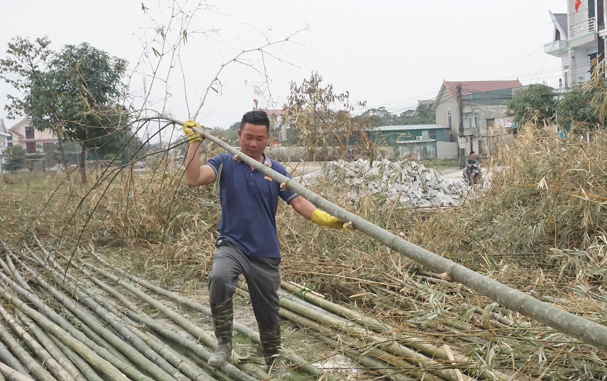 Tết Tân Sửu 2021: Loại cây &quot;cắt gốc, còn ngọn&quot; mỗi năm chỉ bán 1 lần nhưng lại cực kỳ đắt khách - Ảnh 6.