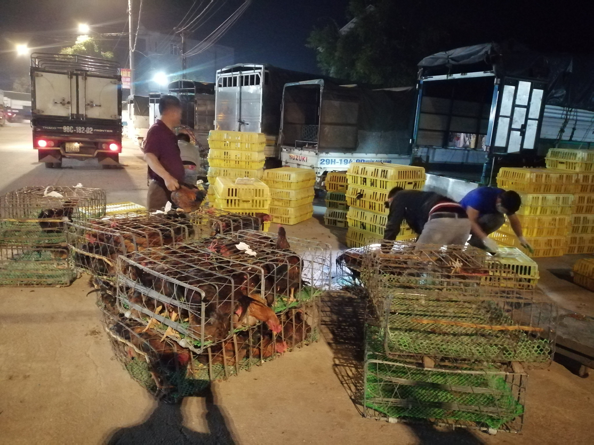 Bắc Giang: Cận Tết, chợ thu mua gà lớn nhất huyện Tân Yên ảm đạm, tiêu thụ giảm 30% so với năm trước - Ảnh 4. Bắc Giang: Cận Tết, chợ thu mua gà lớn nhất huyện Tân Yên ảm đạm, tiêu thụ giảm 30% so với năm trước - Ảnh 4.