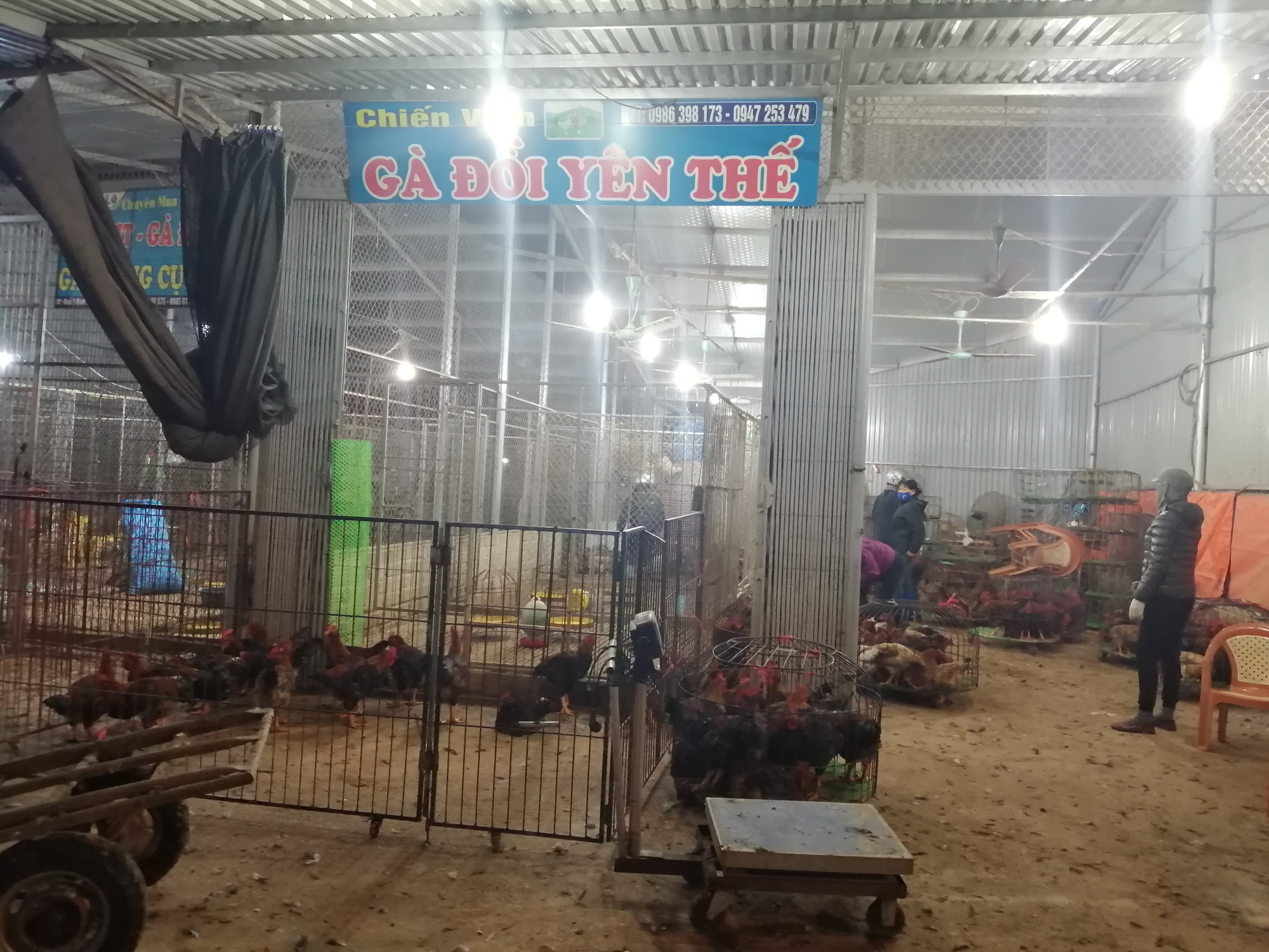 Bắc Giang: Cận Tết, chợ thu mua gà lớn nhất huyện Tân Yên ảm đạm, tiêu thụ giảm 30% so với năm trước - Ảnh 7. Bắc Giang: Cận Tết, chợ thu mua gà lớn nhất huyện Tân Yên ảm đạm, tiêu thụ giảm 30% so với năm trước - Ảnh 7.