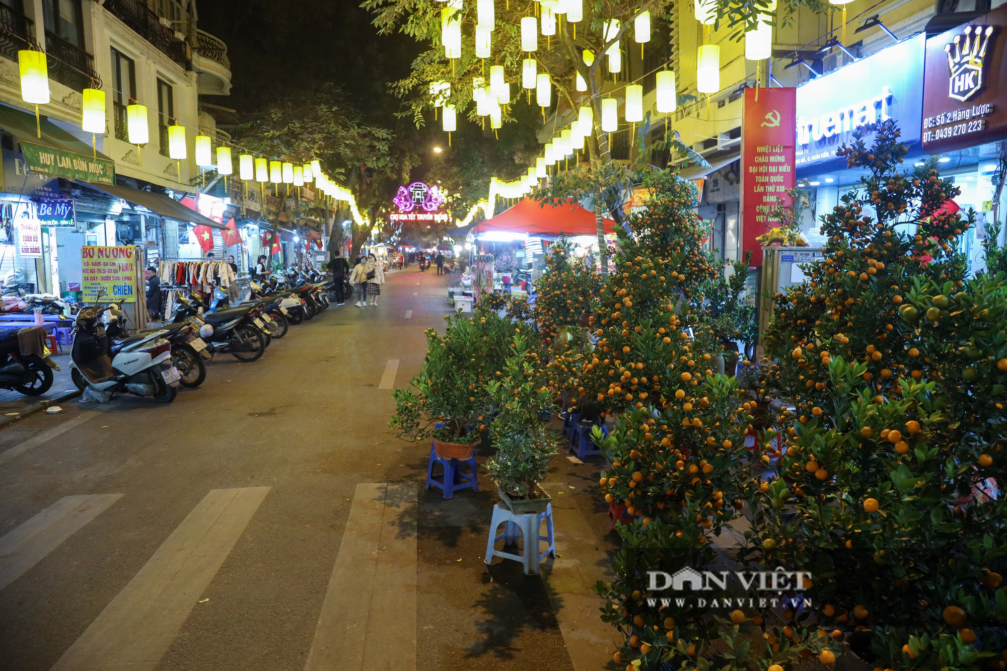 Chợ hoa Tết Hà Nội vắng chưa từng có, tiểu thương ngủ quên vì ế khách - Ảnh 6.