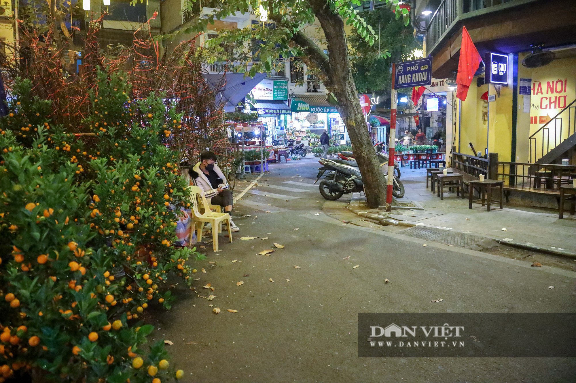 Chợ hoa Tết Hà Nội vắng chưa từng có, tiểu thương ngủ quên vì ế khách - Ảnh 10.
