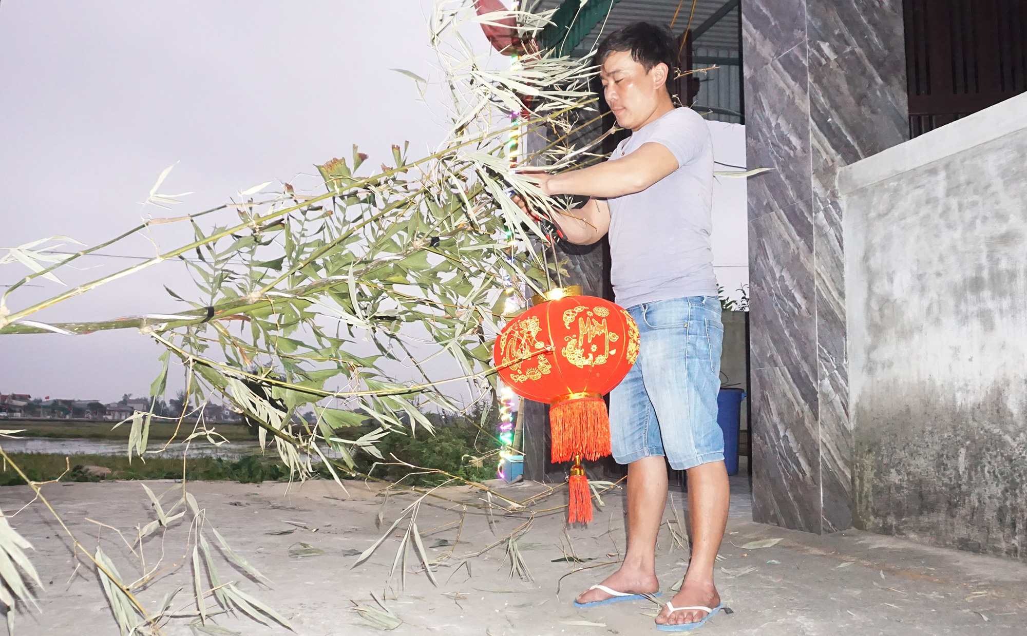 Tết Tân Sửu 2021: Loại cây &quot;cắt gốc, còn ngọn&quot; mỗi năm chỉ bán 1 lần nhưng lại cực kỳ đắt khách - Ảnh 10.