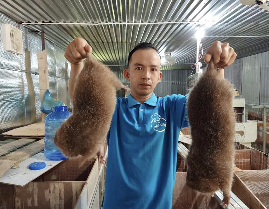 Năm 2020: Quảng Nam có 3.272 hộ thoát nghèo - Ảnh 1. Năm 2020: Quảng Nam có 3.272 hộ thoát nghèo - Ảnh 1.