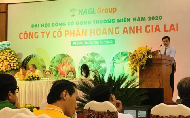 Thêm 1 lãnh đạo của Hoàng Anh Gia Lai từ nhiệm - Ảnh 1. Thêm 1 lãnh đạo của Hoàng Anh Gia Lai từ nhiệm - Ảnh 1.