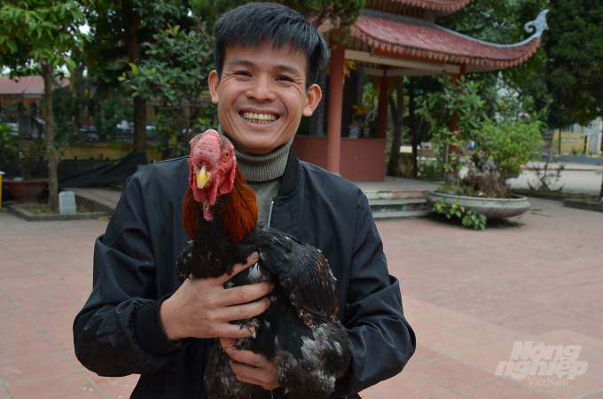Gà Hồ bao giờ chịu bước ra khỏi bức tranh? - Ảnh 4. Gà Hồ bao giờ chịu bước ra khỏi bức tranh? - Ảnh 4.