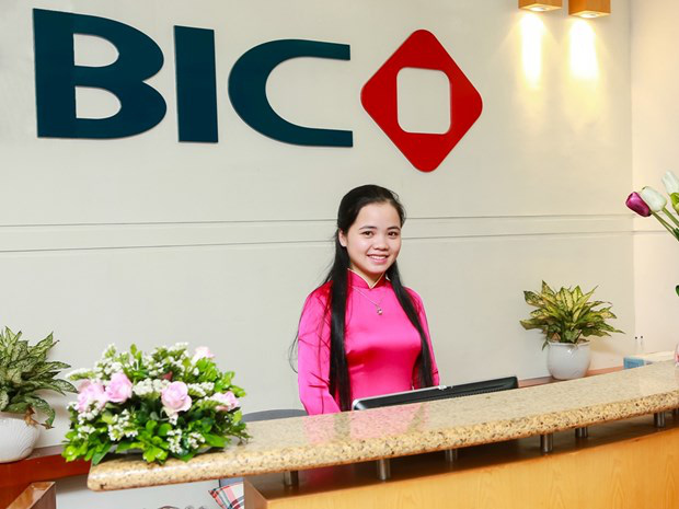 Tổng hợp báo cáo tài chính Tổng công ty cổ phần Bảo hiểm BIDV (BIC)