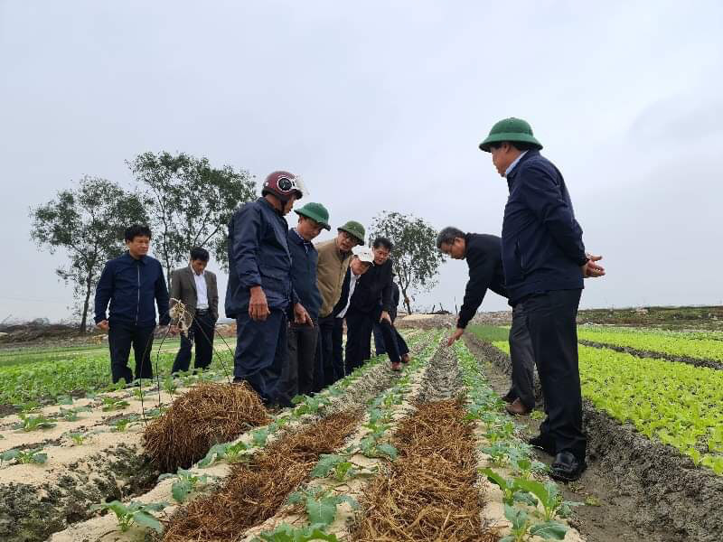 Tập trung khắc phục khó khăn, khôi phục sản xuất nông nghiệp sau thiên tai tại Hà Tĩnh và Quảng Bình - Ảnh 5.