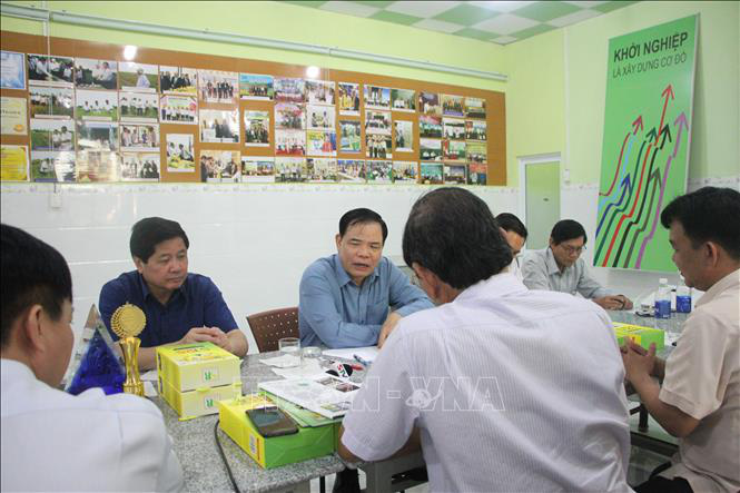 Nghiên cứu quy trình để giống gạo ST thành thương hiệu gạo thơm Việt Nam - Ảnh 1.