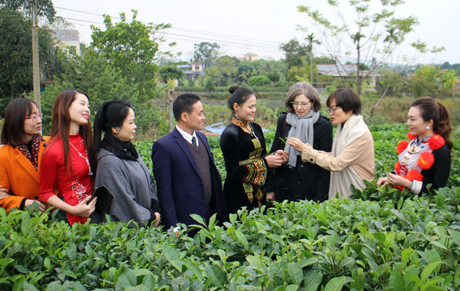 Đại sứ đặc mệnh toàn quyền Canada tại Việt Nam thăm và làm việc tại Thái Nguyên - Ảnh 2. Đại sứ đặc mệnh toàn quyền Canada tại Việt Nam thăm và làm việc tại Thái Nguyên - Ảnh 2.