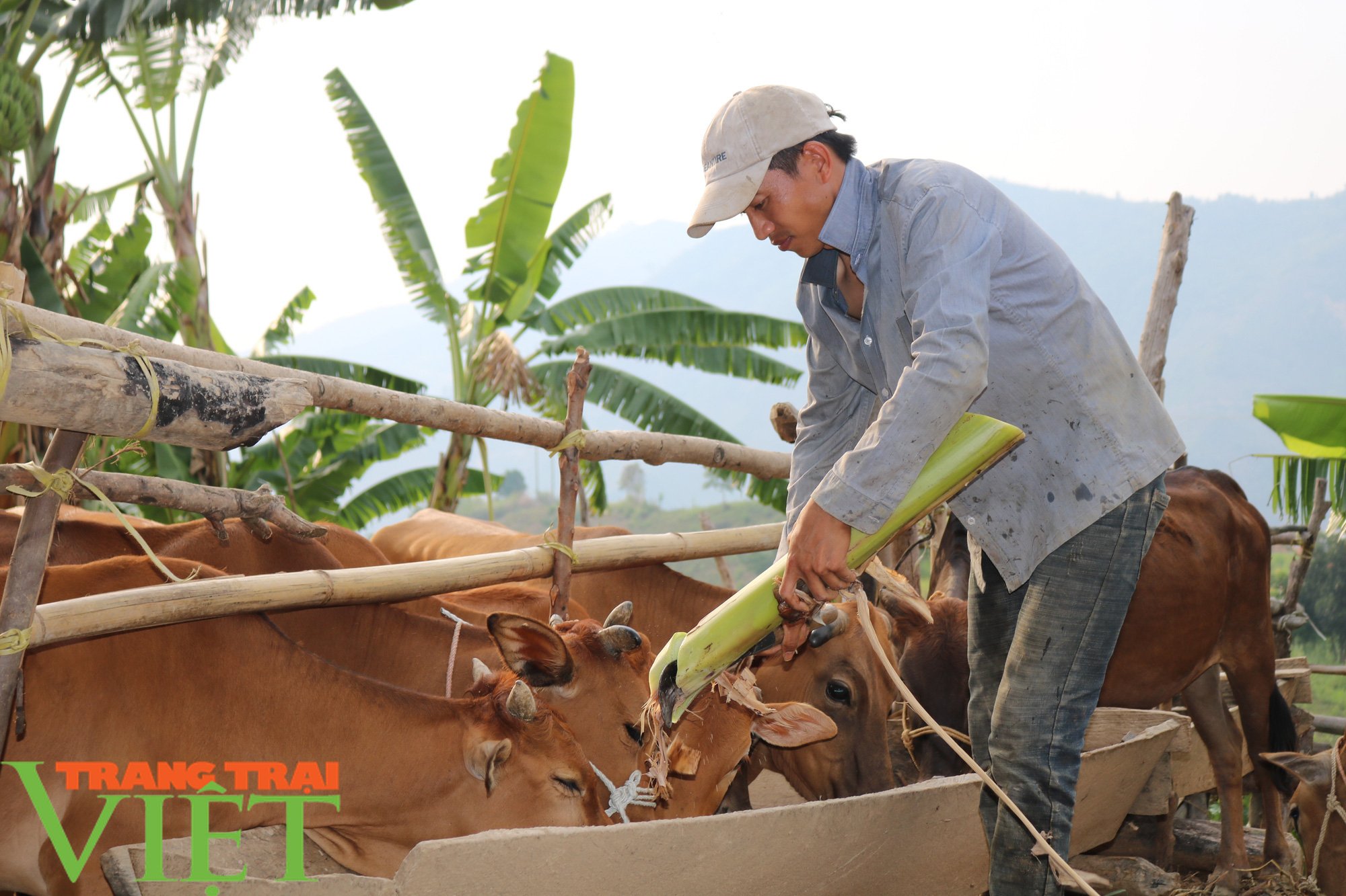 Nông dân xã Nặm Ét giúp nhau phát triển kinh tế - Ảnh 1. Nông dân xã Nặm Ét giúp nhau phát triển kinh tế - Ảnh 1.