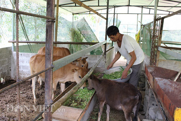  Sơn La: Người dân vùng cao co ro trong giá lạnh - Ảnh 2.