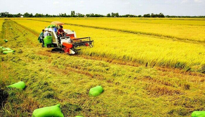 Đất nông nghiệp hết hạn có được phép mua bán? - Ảnh 1.