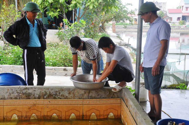 Làng nuôi cá chép đỏ nổi tiếng ở xứ Thanh trước ngày tiễn Táo Quân chầu trời - Ảnh 9.