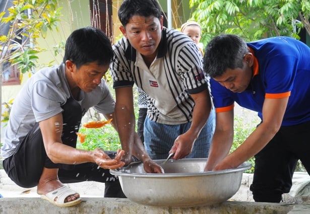 Làng nuôi cá chép đỏ nổi tiếng ở xứ Thanh trước ngày tiễn Táo Quân chầu trời - Ảnh 6.
