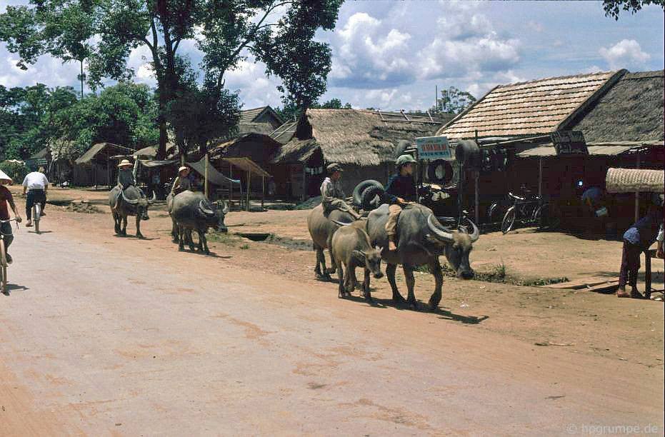 CHÙM ẢNH cực chất về những chú trâu ở Việt Nam năm 1992 - Ảnh 6. CHÙM ẢNH cực chất về những chú trâu ở Việt Nam năm 1992 - Ảnh 6.