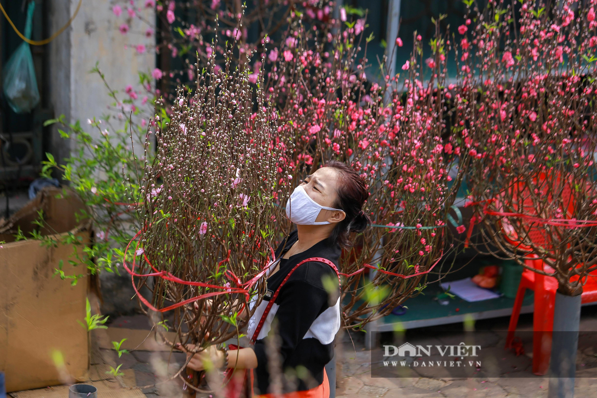 Chợ hoa Quảng Bá tấp nập những ngày cuối năm - Ảnh 8.
