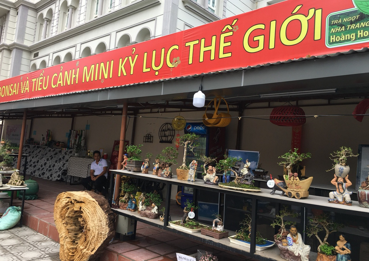 Bộ sưu tập bonsai mini đạt kỷ lục thế giới được trưng bày tại Nha Trang - Ảnh 5.