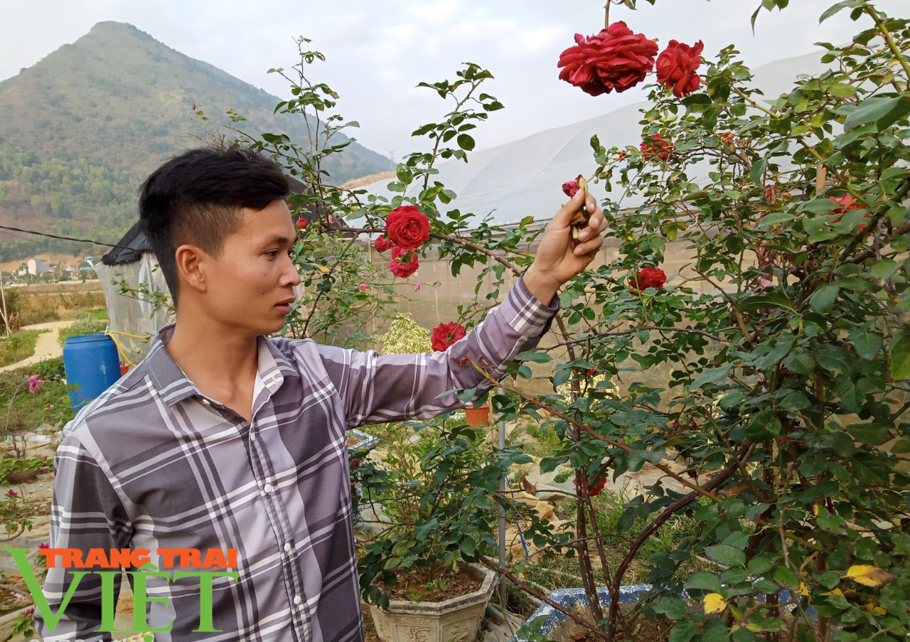 Bỏ túi 200 triệu mỗi năm từ mô hình vườn hoa, cây cảnh - Ảnh 1. Bỏ túi 200 triệu mỗi năm từ mô hình vườn hoa, cây cảnh - Ảnh 1.