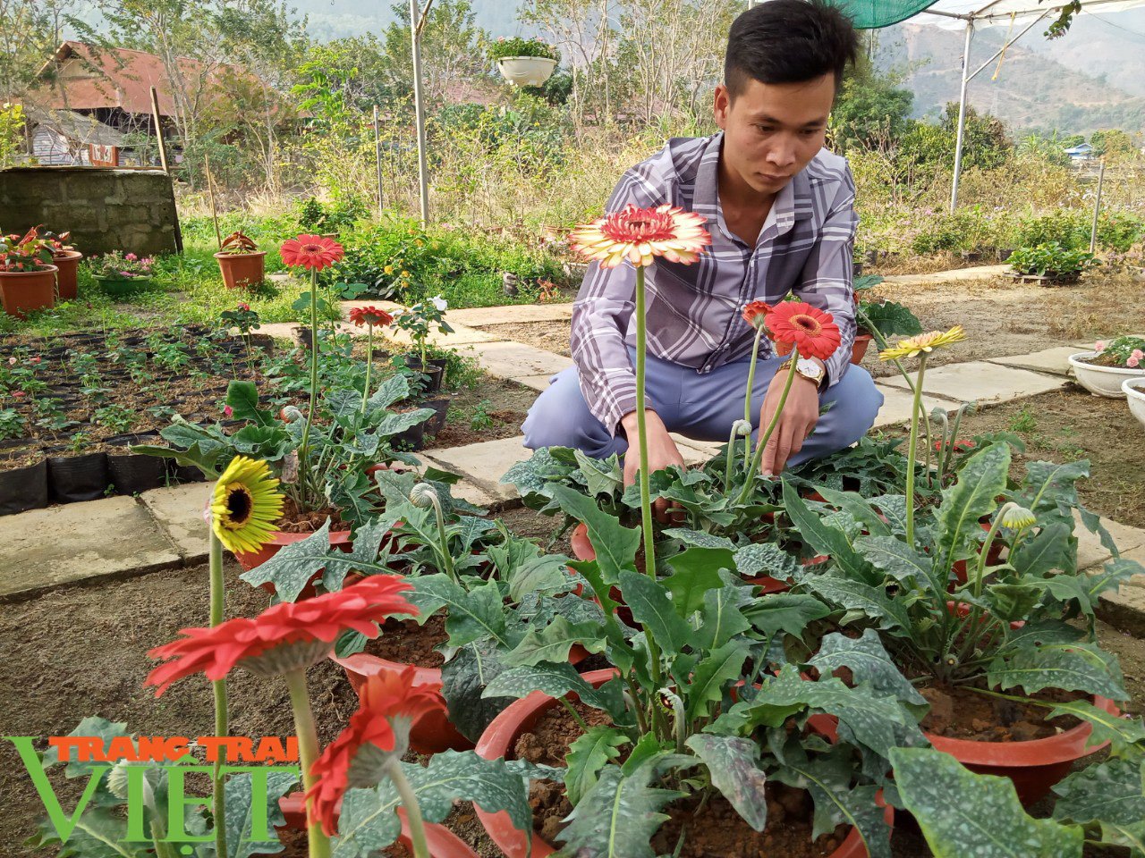 Bỏ túi 200 triệu mỗi năm từ mô hình vườn hoa, cây cảnh - Ảnh 4. Bỏ túi 200 triệu mỗi năm từ mô hình vườn hoa, cây cảnh - Ảnh 4.