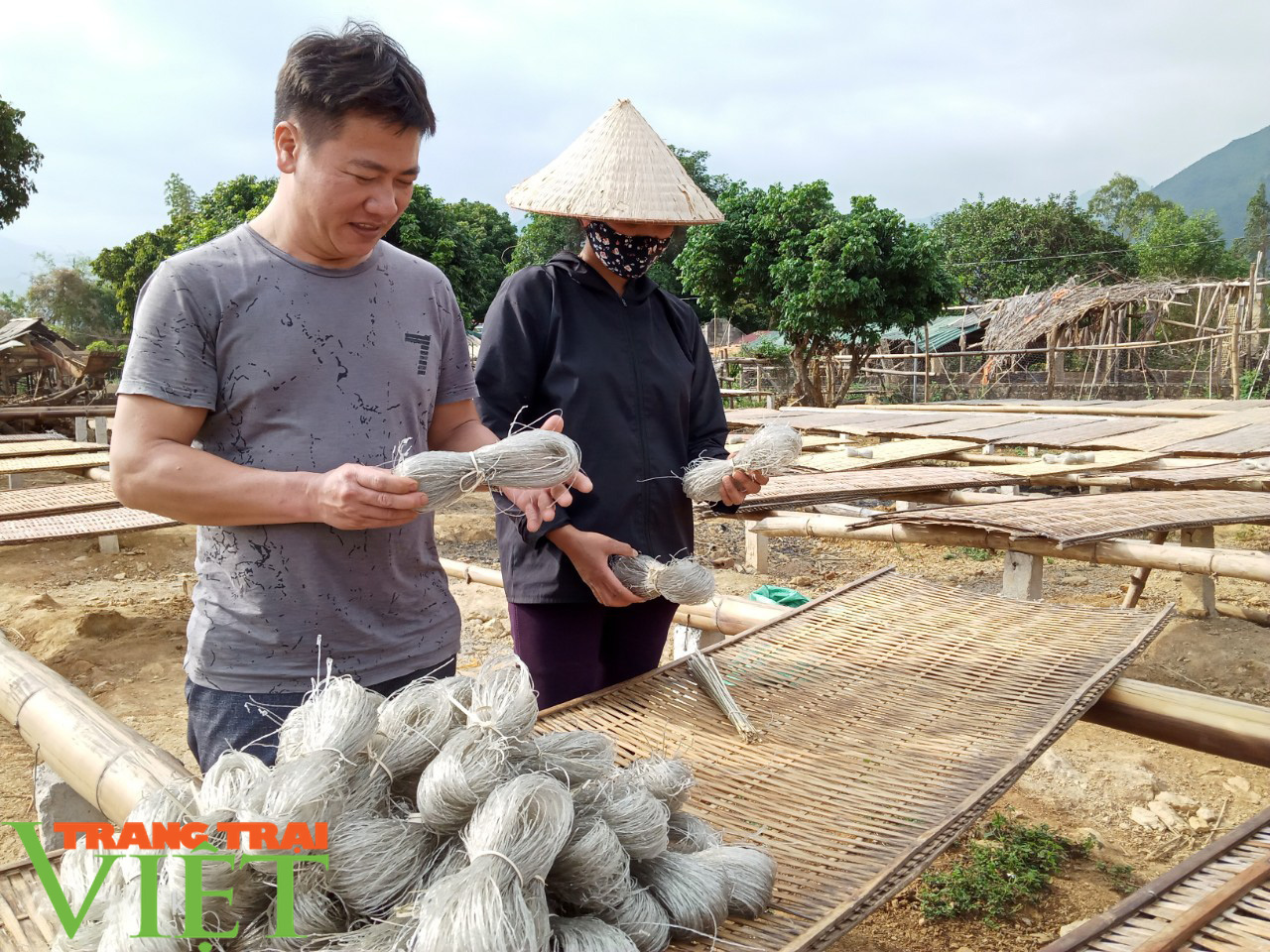 Ngọt ngào miến dong Nhân Đức - Ảnh 1. Ngọt ngào miến dong Nhân Đức - Ảnh 1.
