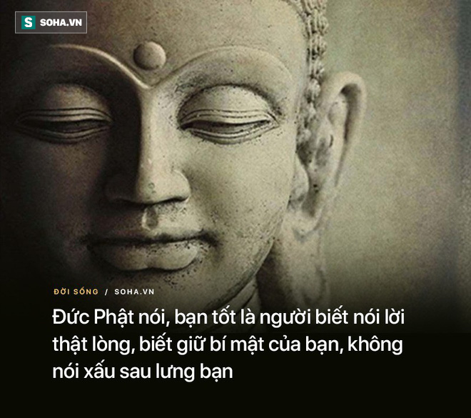 - Ảnh 2.