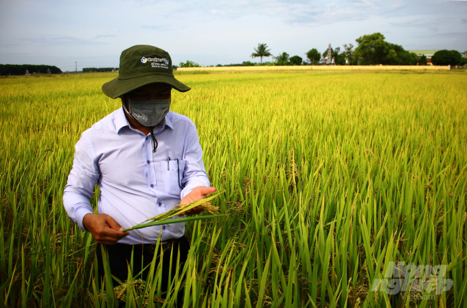 Quảng Trị tái cơ cấu nông nghiệp theo hướng công nghiệp cao, hữu cơ - Ảnh 1.