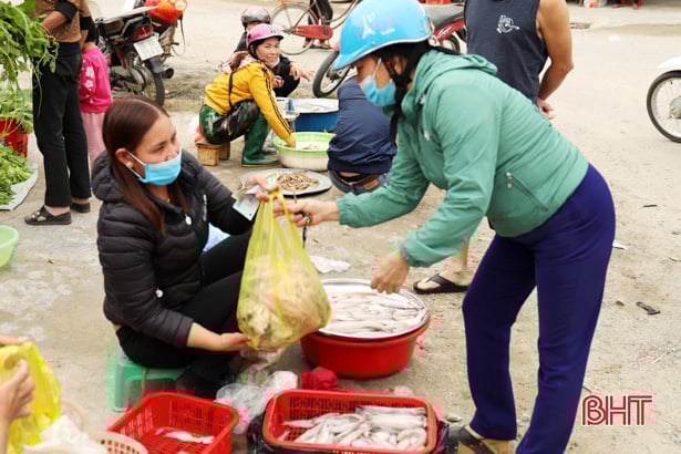 Hà Tĩnh: Ngư dân trúng đậm loại cá nhão như cháo, được dân nhậu lùng mua, mỗi tàu lãi 5-7 triệu - Ảnh 10.