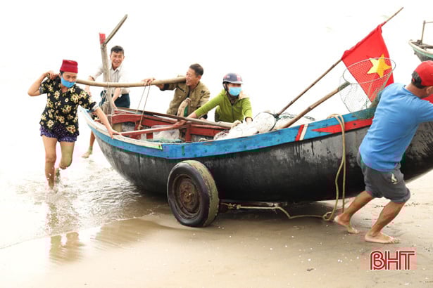 Hà Tĩnh: Ngư dân trúng đậm loại cá nhão như cháo, được dân nhậu lùng mua, mỗi tàu lãi 5-7 triệu - Ảnh 1.