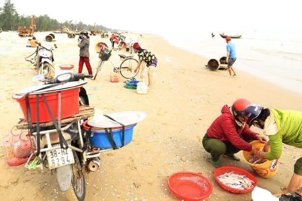 Hà Tĩnh: Ngư dân trúng đậm loại cá nhão như cháo, được dân nhậu lùng mua, mỗi tàu lãi 5-7 triệu - Ảnh 4.