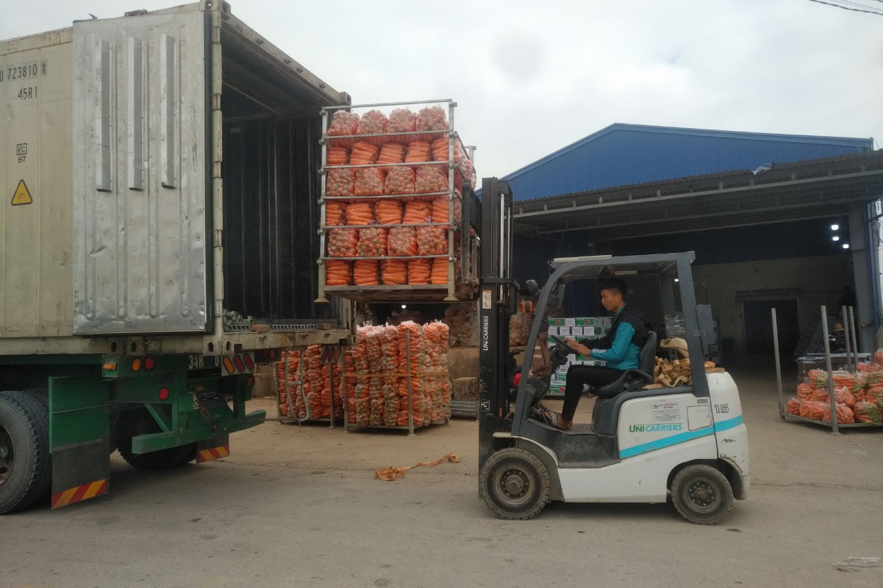 Covid- 19 ở Hải Dương: Những phương tiện nào được hoạt động? - Ảnh 2.