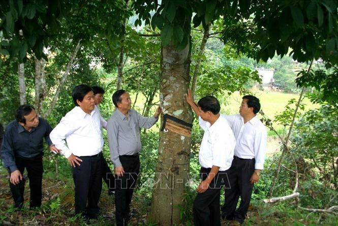 Ảnh: Đồng chí Trương Vĩnh Trọng - tấm gương sáng cho mỗi cán bộ, đảng viên - Ảnh 2.