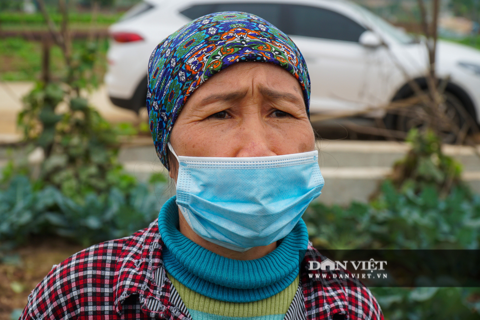 Người dân Hoài Đức trắng tay vì rau, củ rớt giá thảm hại - Ảnh 4.