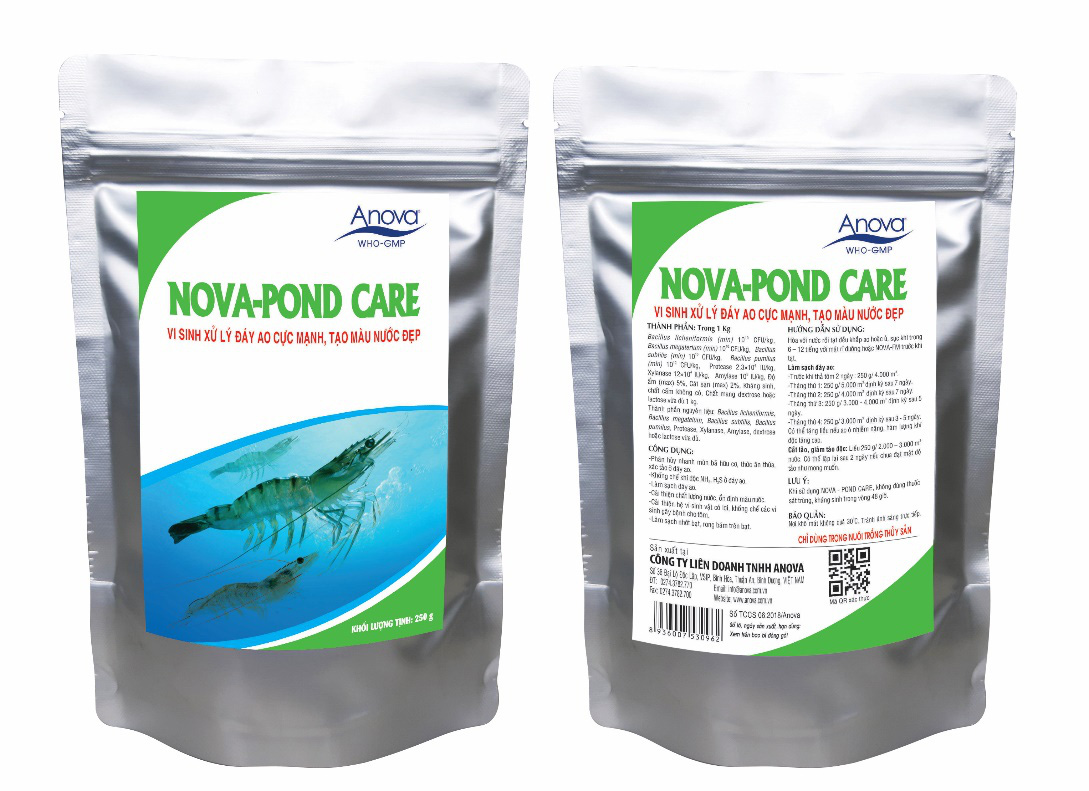 Vai trò của nhóm vi khuẩn Bacillus  spp. trong quản lý môi trường ao nuôi thủy sản - Ảnh 3.
