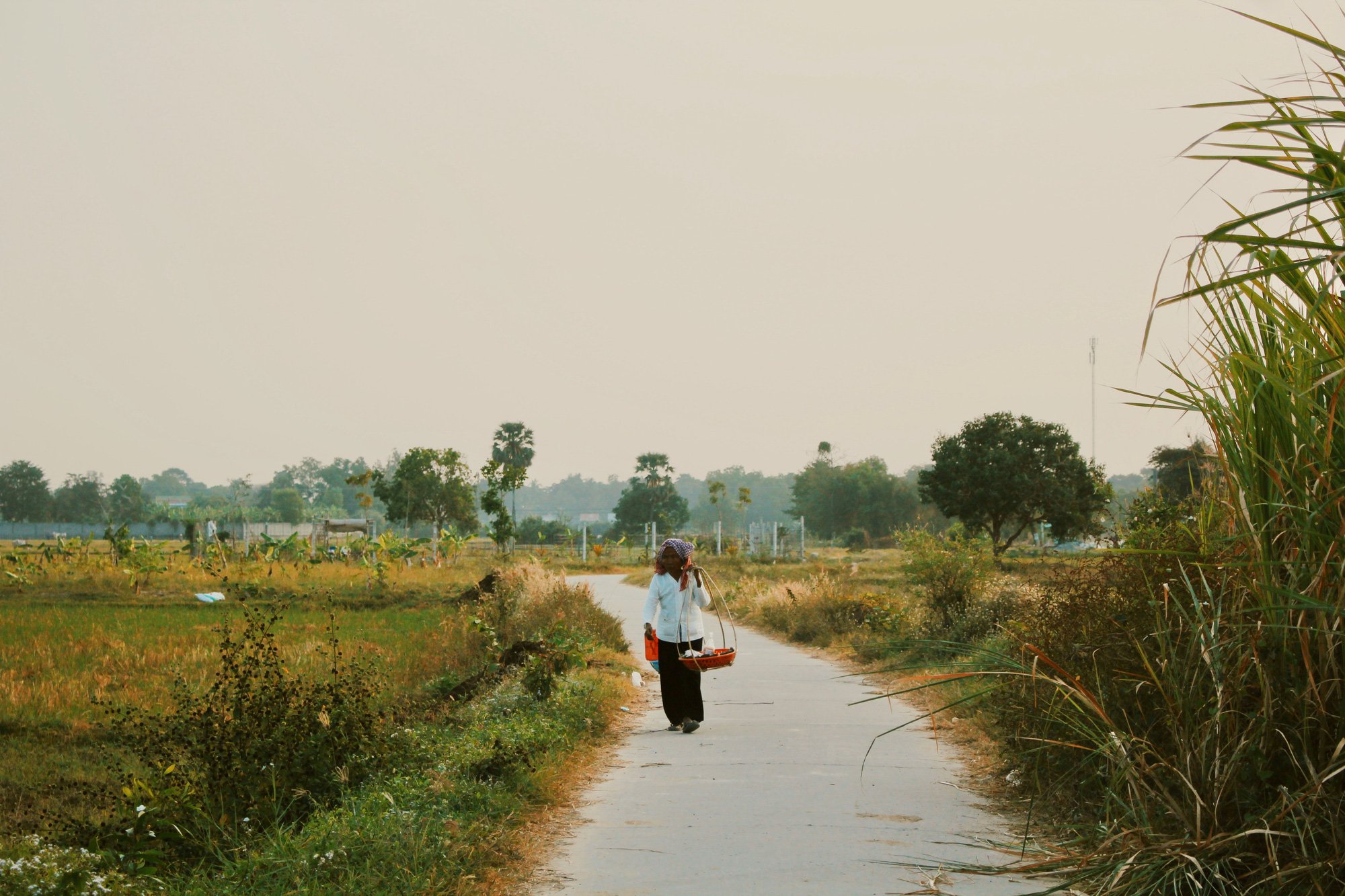 An Giang anh 5