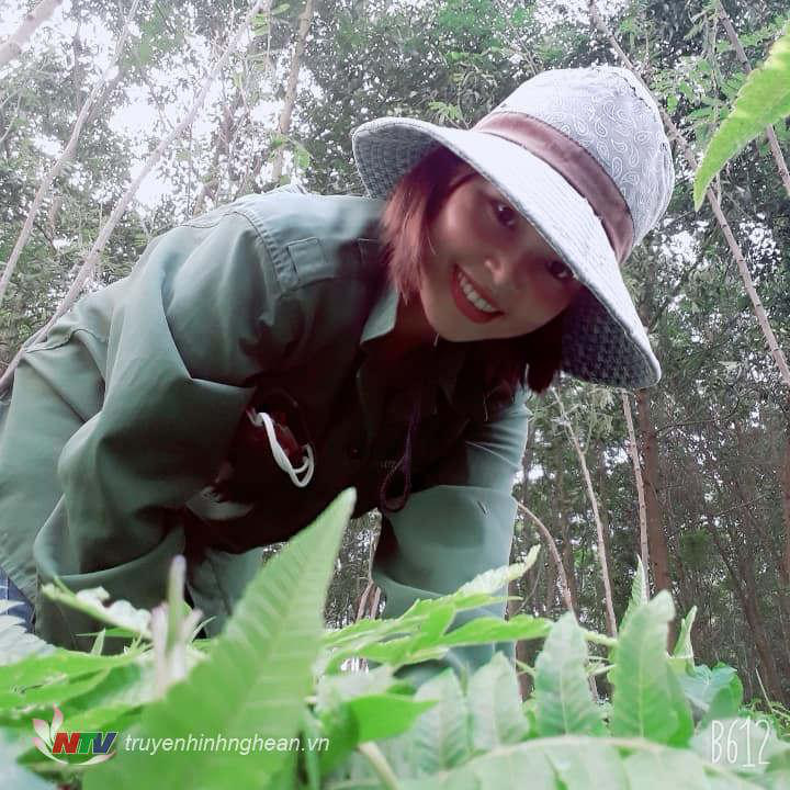 Nghệ An: Nông dân rủ nhau lội suối săn tìm hái thứ rau rừng nghe tên đã thấy &quot;sống thọ&quot;, ăn quen mồm sẽ &quot;nghiện&quot; - Ảnh 1.
