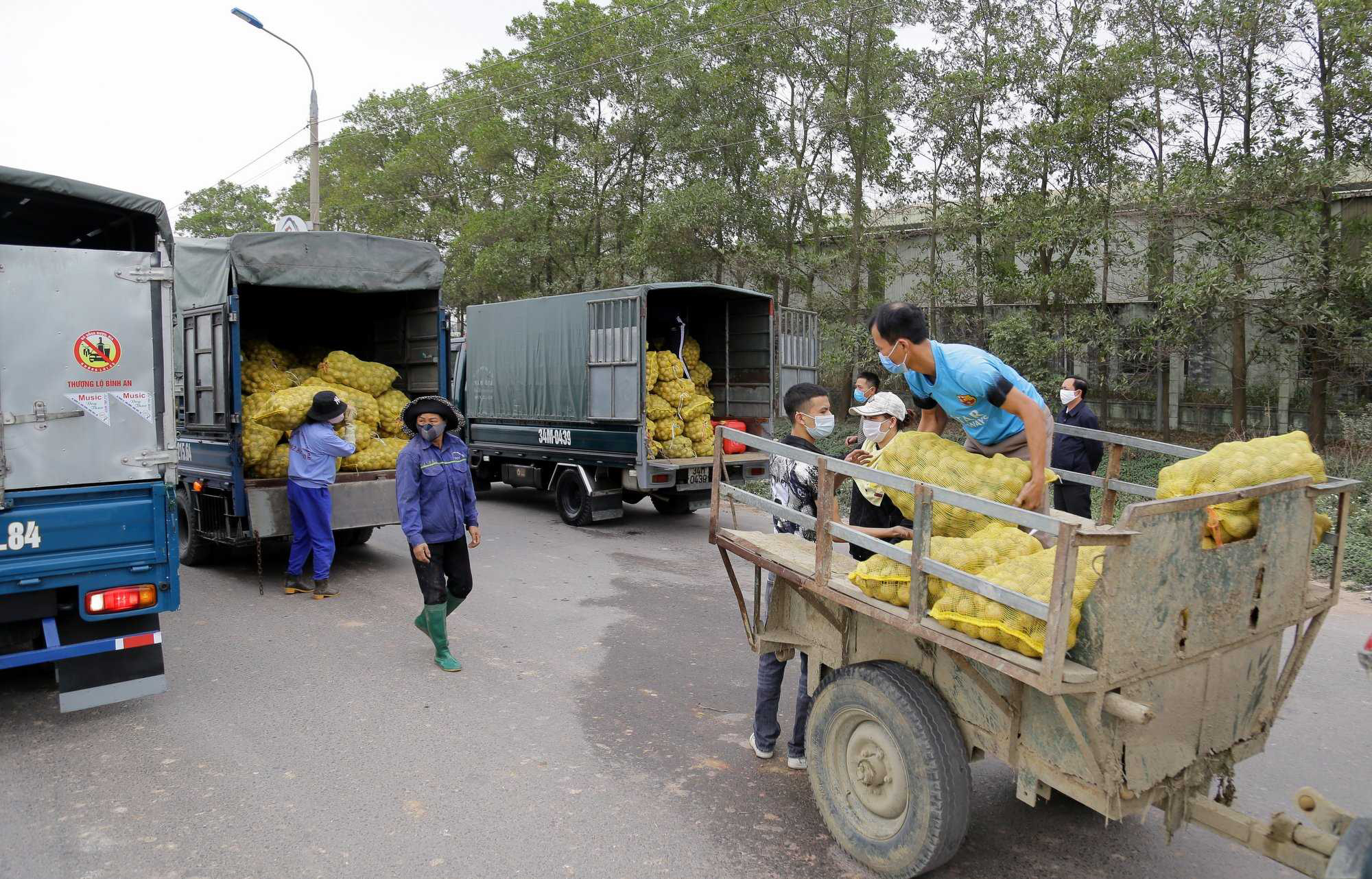 Quảng Ninh kết nối tiêu thụ thành công nông sản cho người dân bị ảnh hưởng bởi dịch Covid-19 - Ảnh 3.