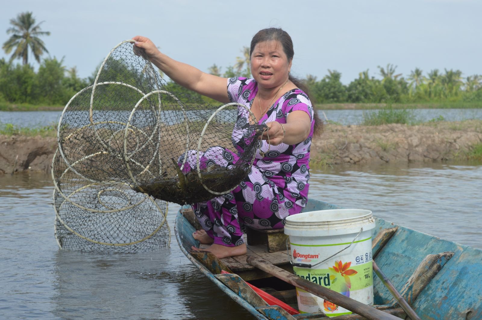 Kiên Giang: Sản lượng lúa gạo cao nhất ĐBSCL, vì sao tỉnh này lại chuyển từ độc canh lúa sang nuôi thêm tôm nước lợ? - Ảnh 1.